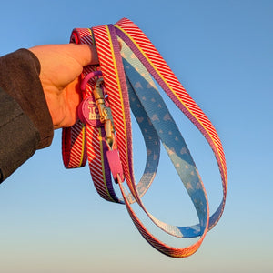 Disney© Lead - Buzz Lightyear