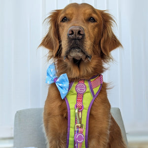 Disney© Bow Tie - Buzz Lightyear