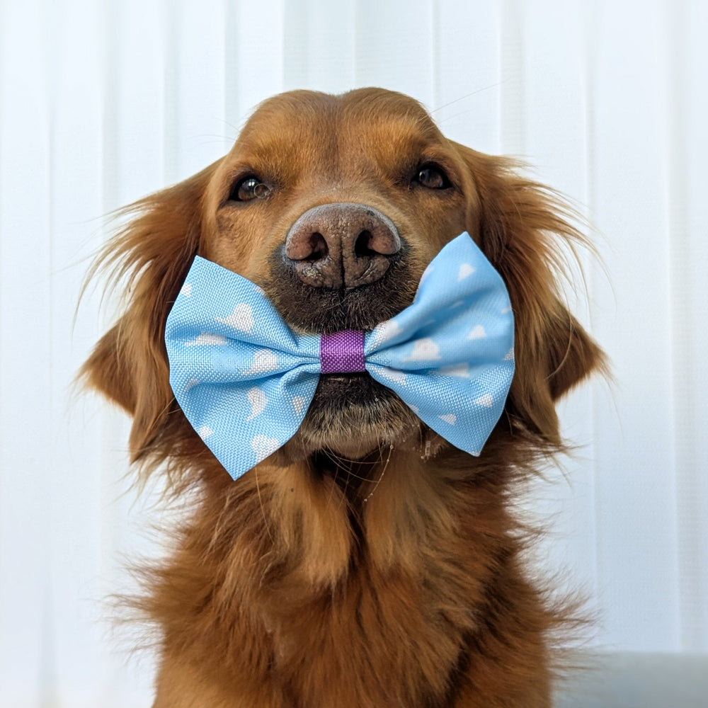 Disney© Bow Tie - Buzz Lightyear