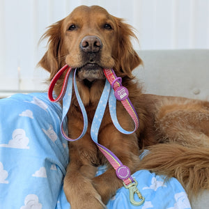 Disney© Lead - Buzz Lightyear