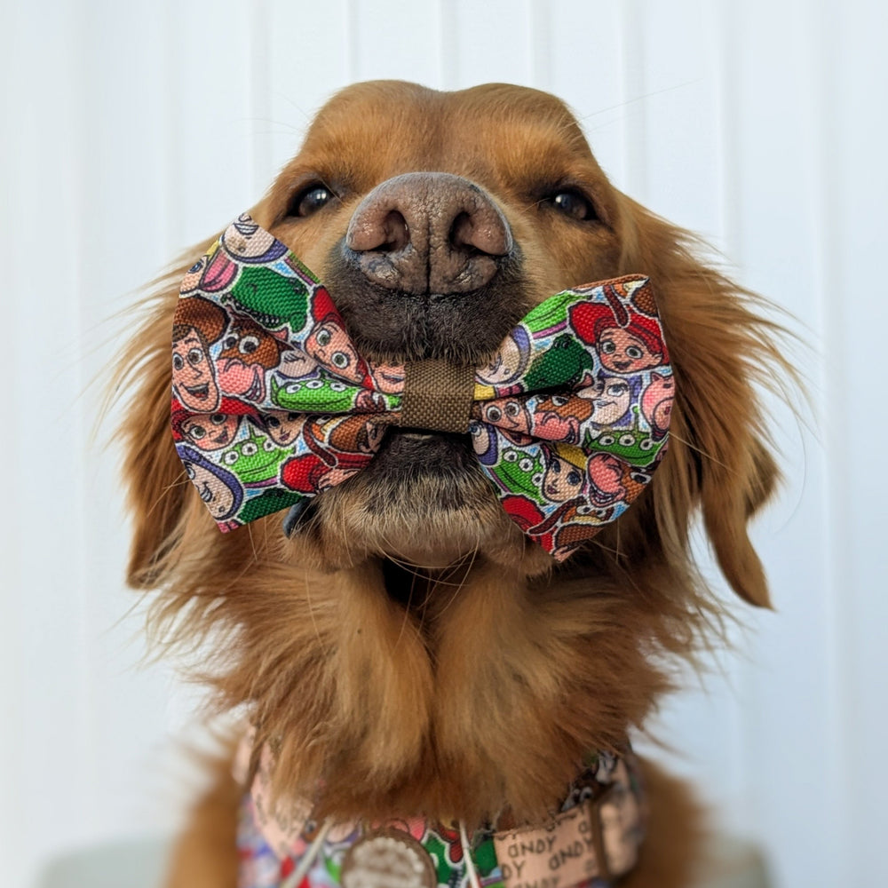 Disney© Bow Tie - Toy Story Friends