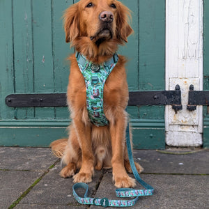 Disney© Disney©Lead - Jungle Book