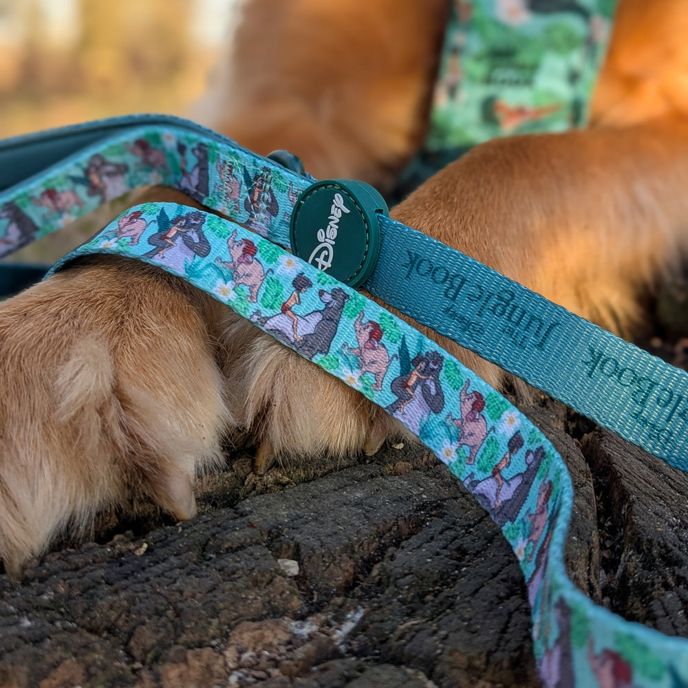 Disney© Disney©Lead - Jungle Book