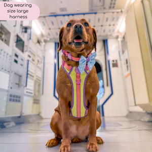 Disney© Tough Trails™ Harness - Buzz Lightyear