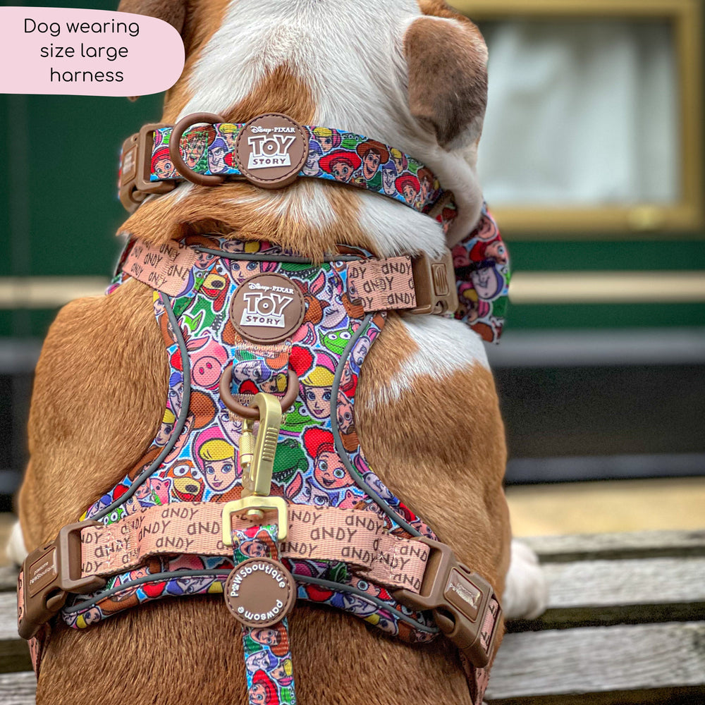 Disney© Tough Trails™ Harness - Toy Story Friends