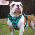 Disney© Tough Trails™ Harness - Jungle Book