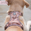 Disney© Tough Trails™ Harness - Slinky