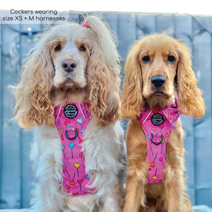 Tough Trails™ Harness - Candypop