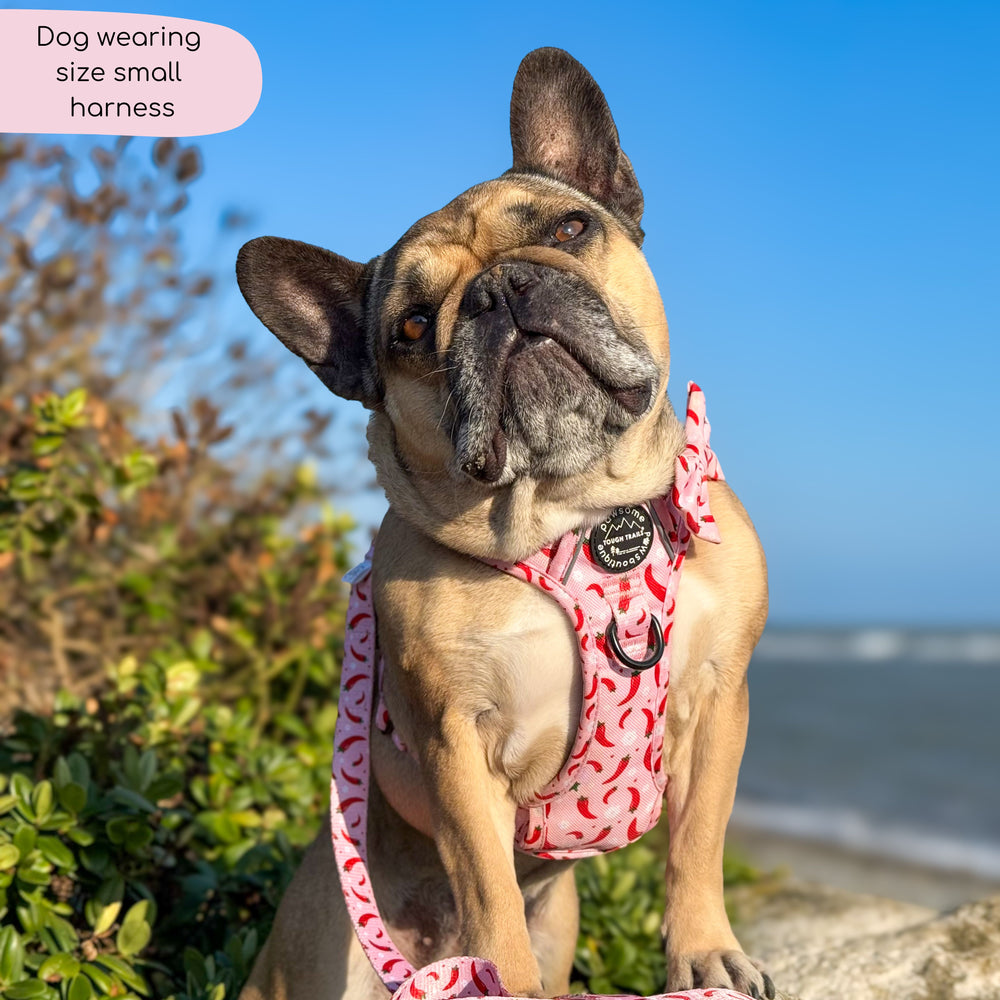Tough Trails™ Harness - Chilli Dog