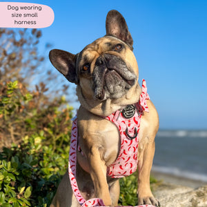 Tough Trails™ Harness - Chilli Dog