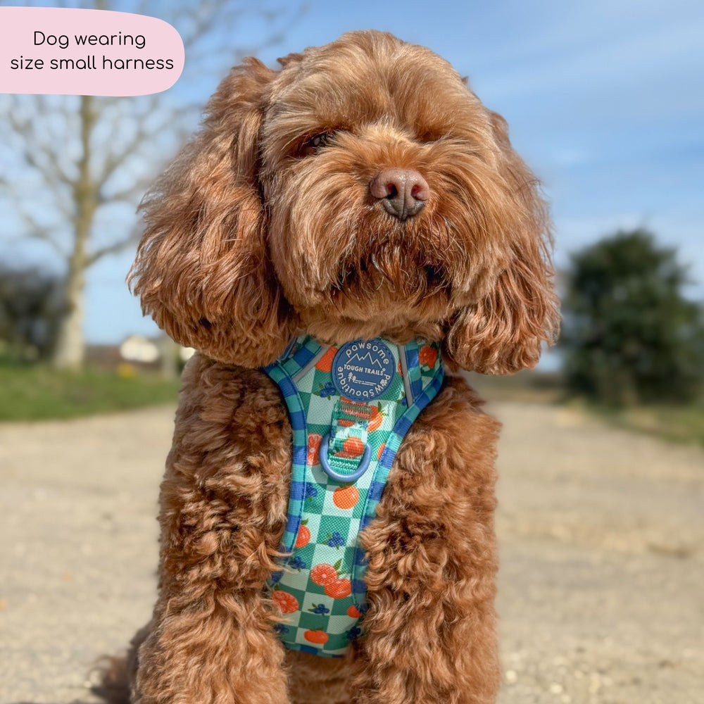 Tough Trails™ Harness -  Fruit Punch