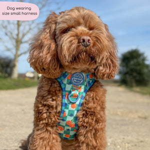 Tough Trails™ Harness -  Fruit Punch