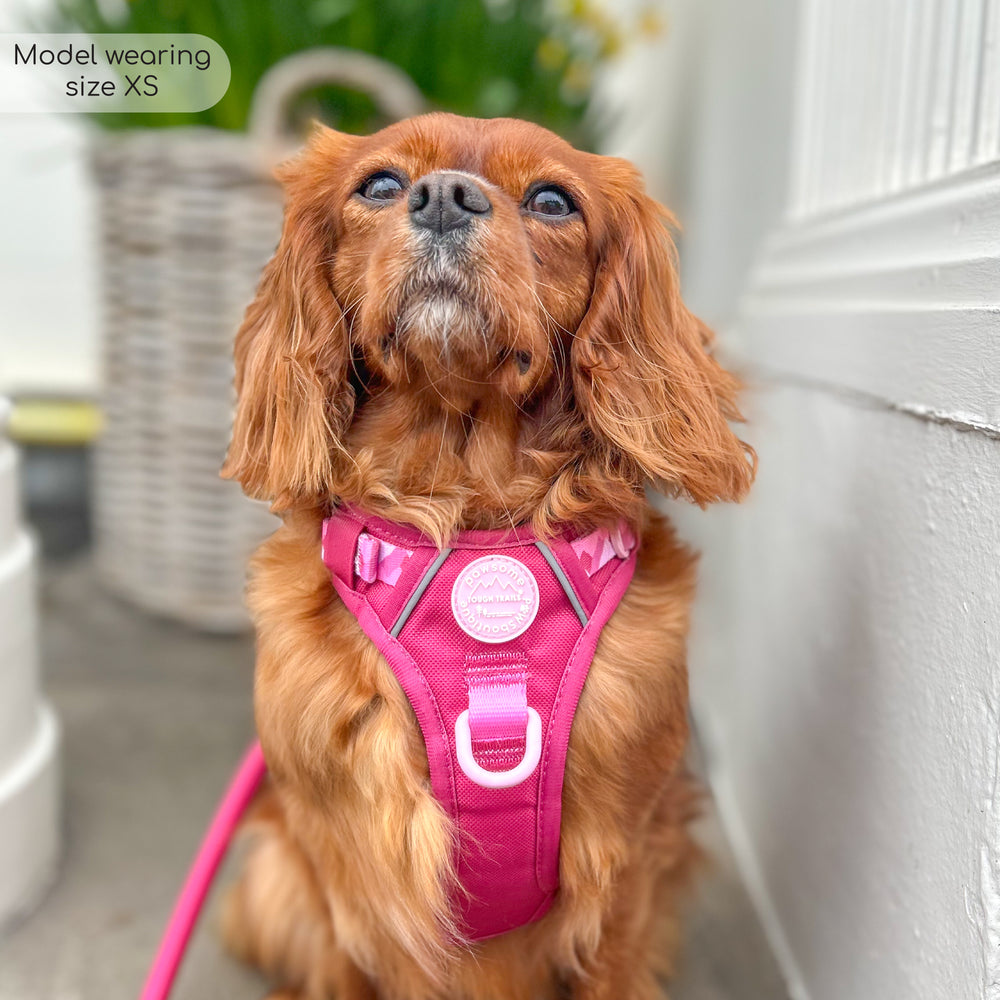 Tough Trails™ Harness - Walkies Ready® Raspberry Pink
