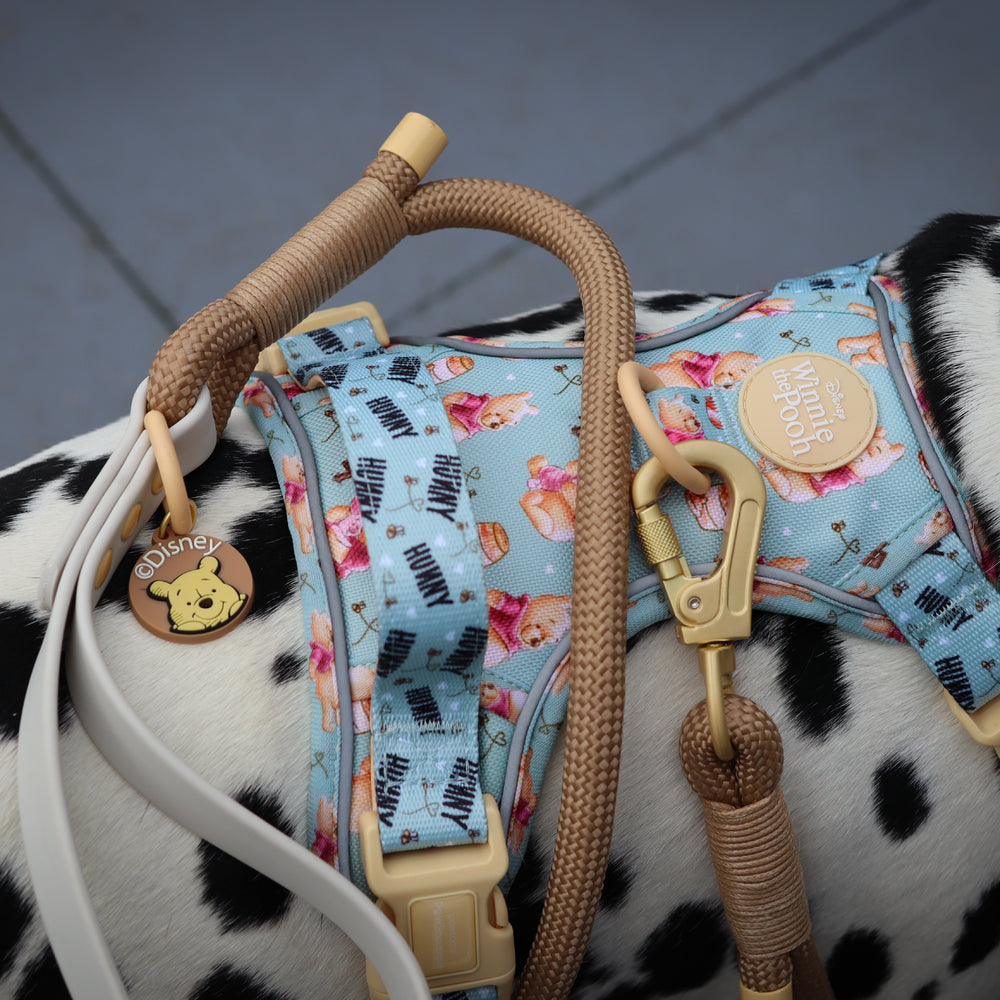 Disney© 4ft Rope Lead - Winnie The Pooh - Beige and Brown