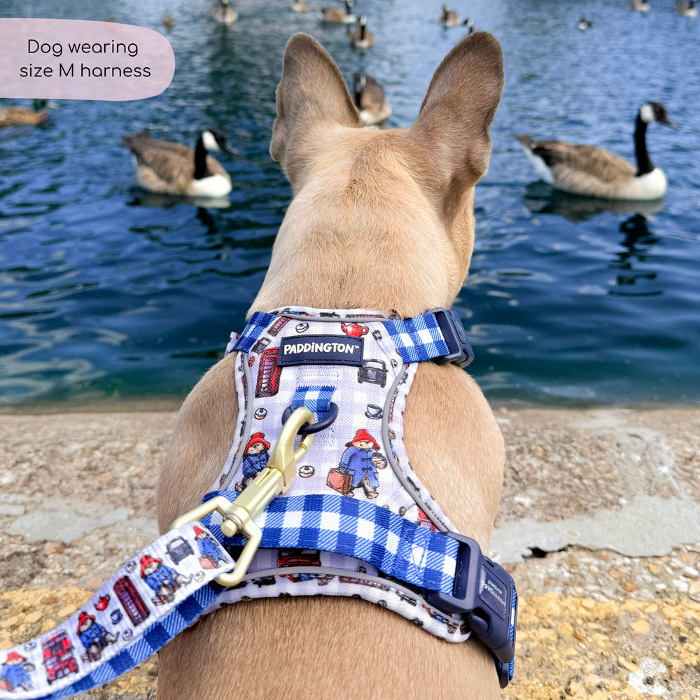 Paddington™ Tough Trails™ Harness - London