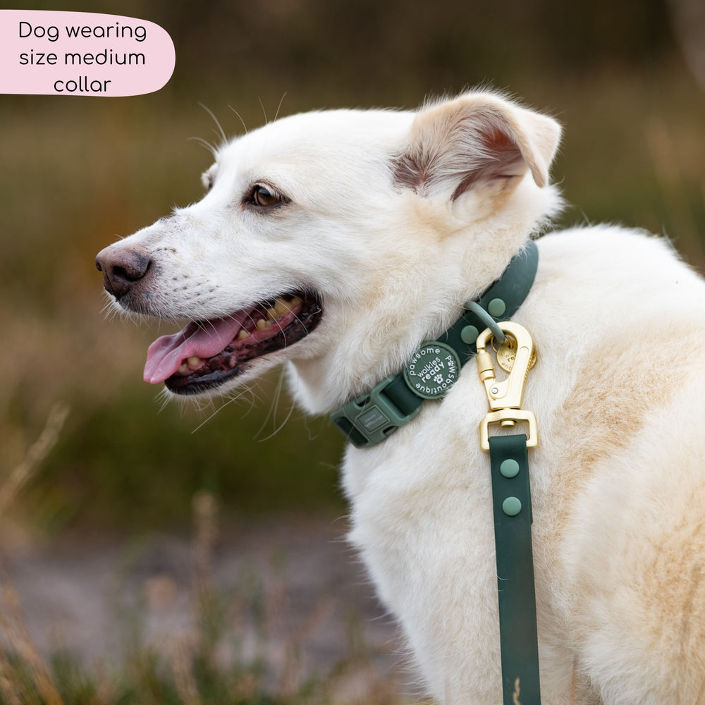 Waterproof Collar - Walkies Ready® Forest Green