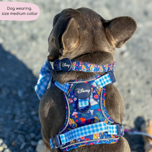 Disney© Collar - Alice In Wonderland