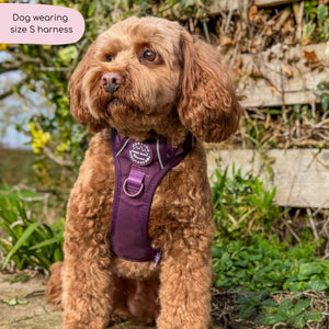 Tough Trails™ Harness - Walkies Ready® Plum