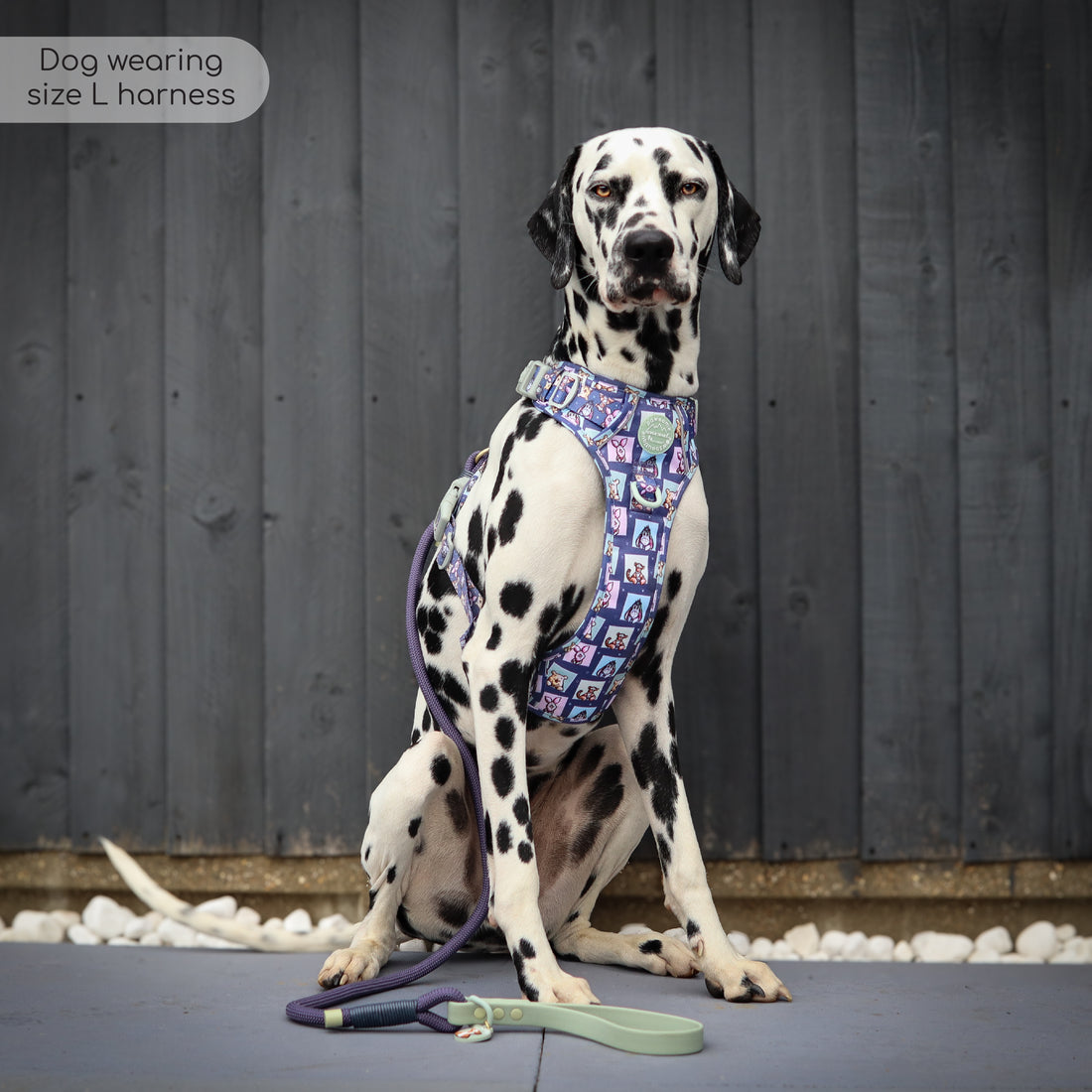 Disney© 4ft Rope Lead - Winnie + Friends - Sage and Blue