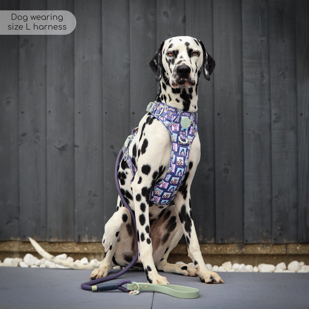 Disney© 4ft Rope Lead - Winnie + Friends - Sage and Blue