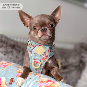 Disney© Tough Trails™ Harness - Winnie The Pooh