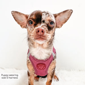 Pawsome Pup Harness - Burgundy