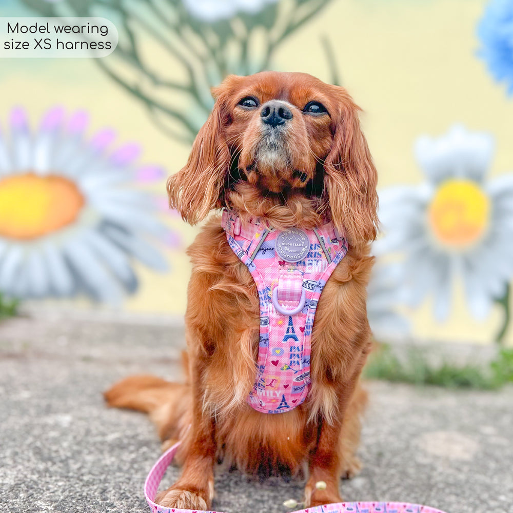 Tough Trails™ Harness - Emily In Paris