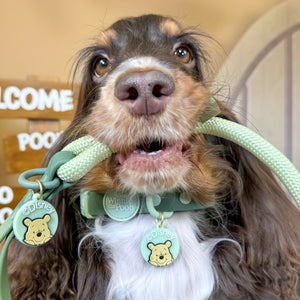 Disney© Collar/Lead Charm - 100 Aker Wood