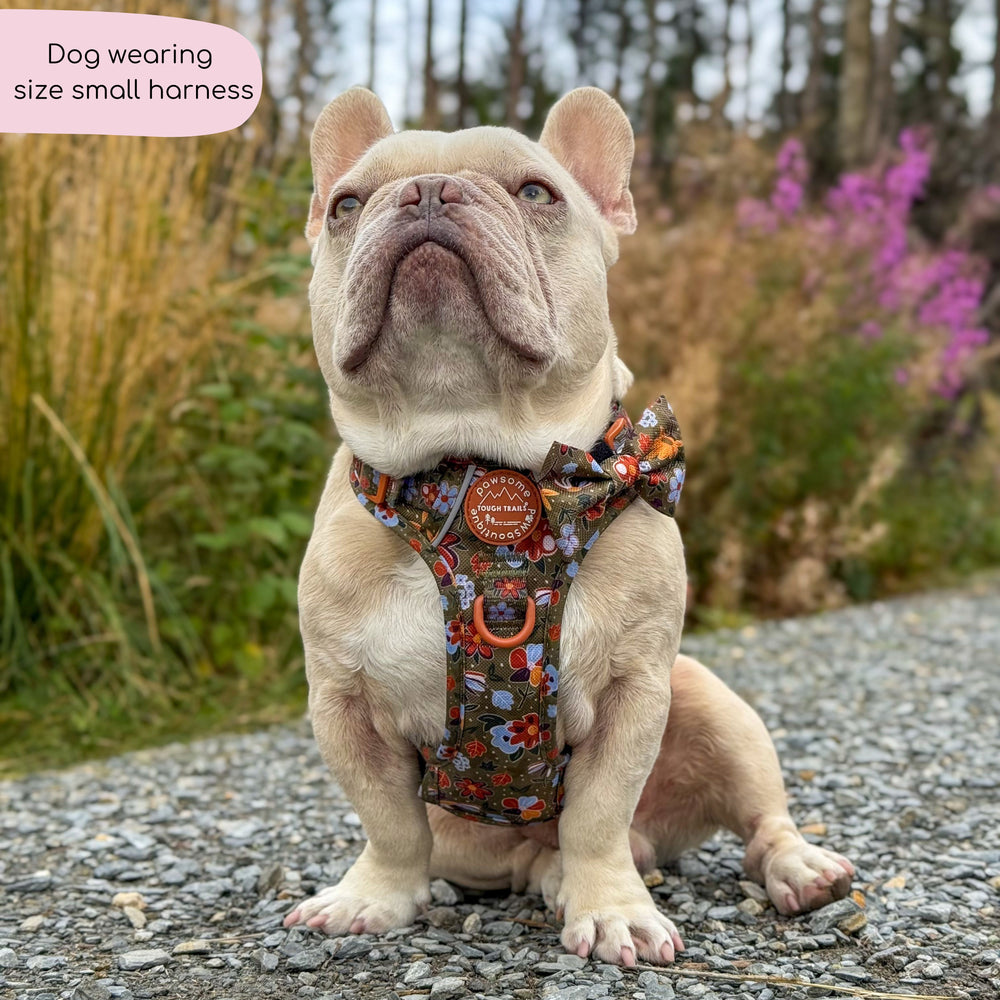 Tough Trails™ Harness - Rust & Bloom