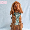 Disney© Tough Trails™ Harness - Rex