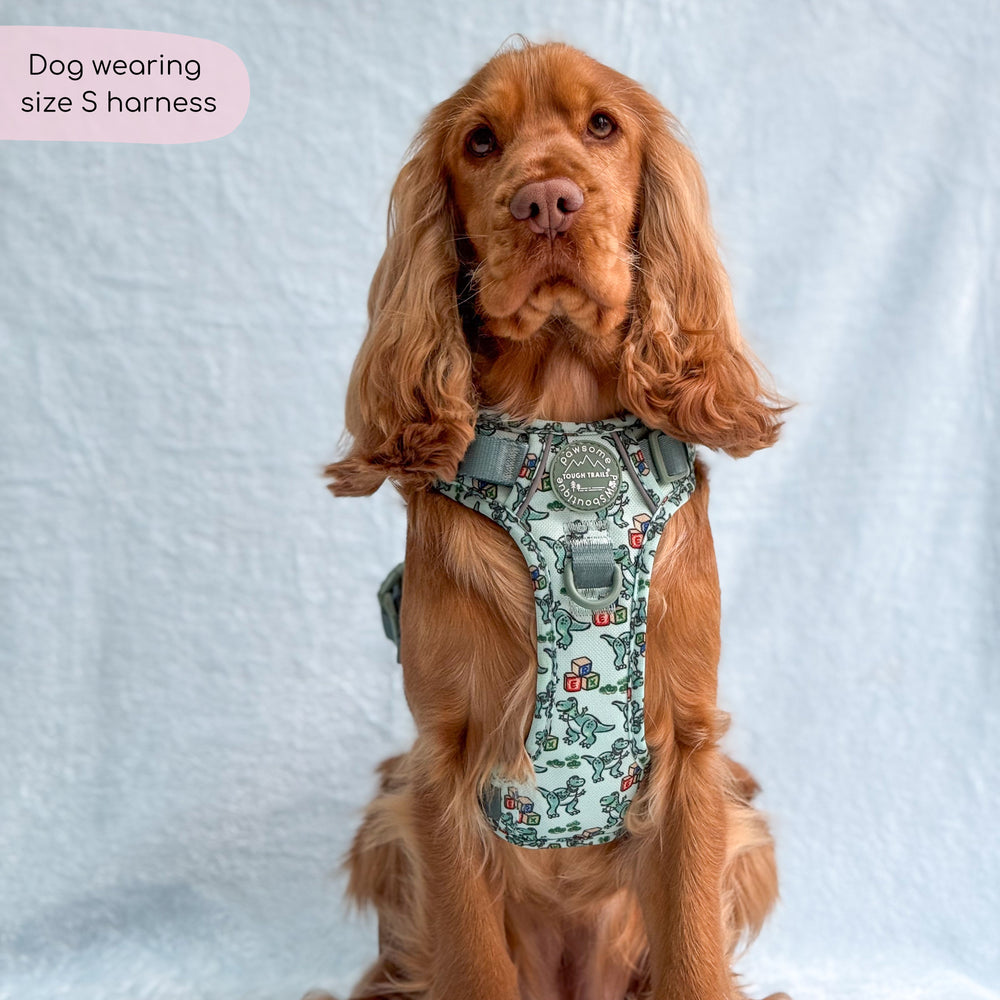 Disney© Tough Trails™ Harness - Rex