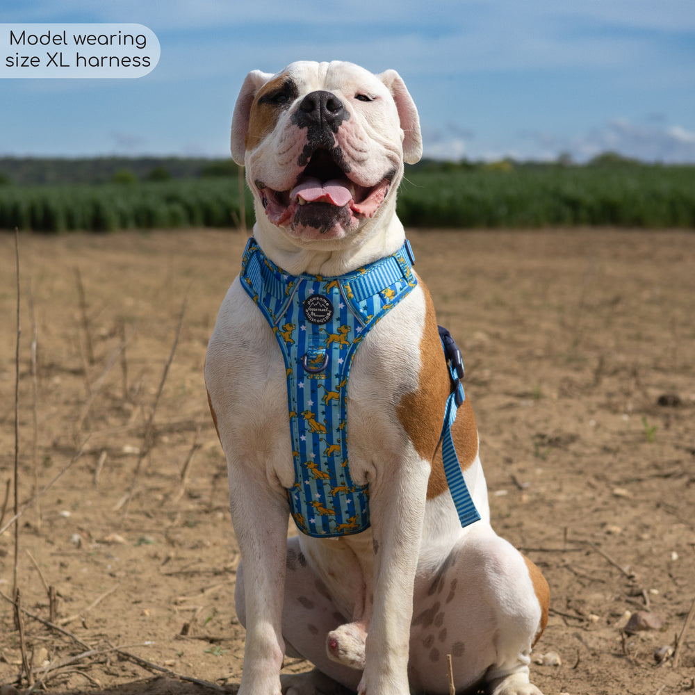 Disney© Tough Trails™ Harness - Simba