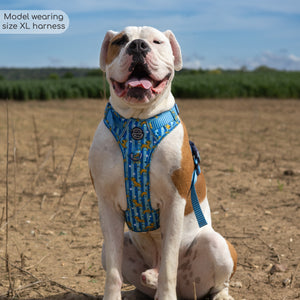 Disney© Tough Trails™ Harness - Simba