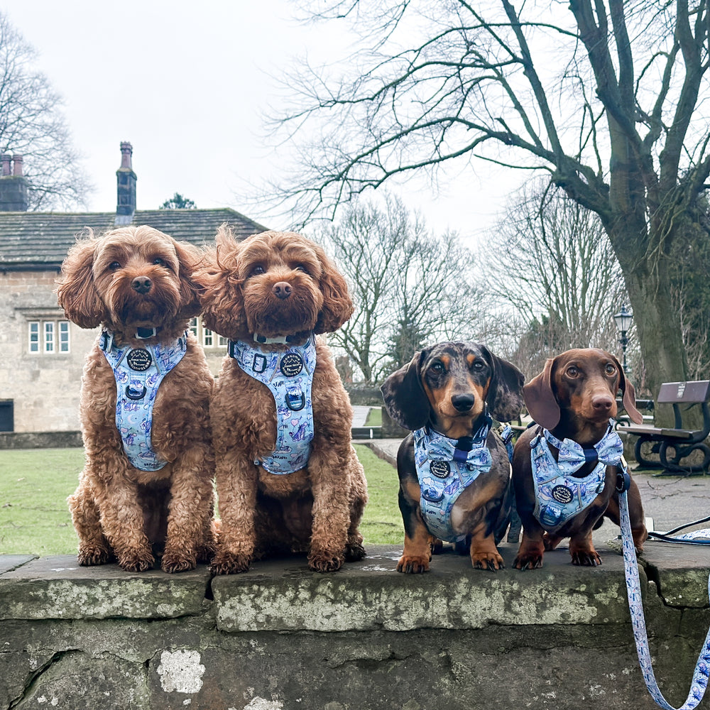 Disney© Tough Trails™ Harness - Eeyore