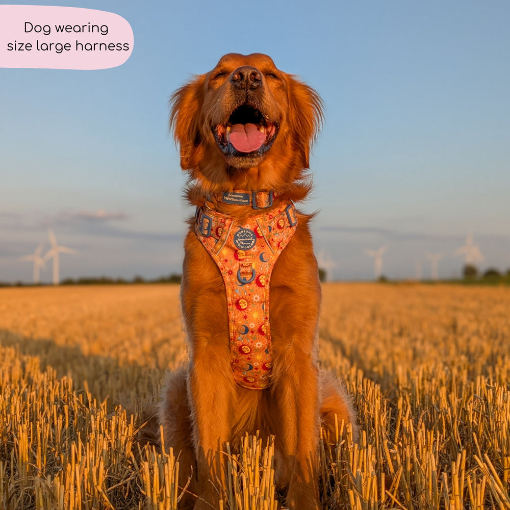 Tough Trails™ Harness - Celestial Spirit