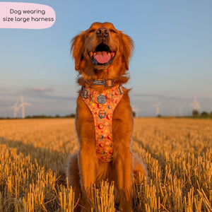 Tough Trails™ Harness - Celestial Spirit