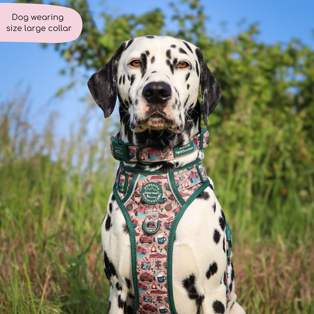 Collar - Adventure Awaits