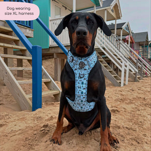 Tough Trails™ Harness - Reuben's Roadtrip