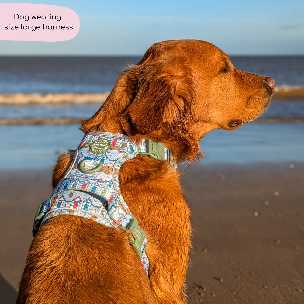 Tough Trails™ Harness -  Sandy Shores