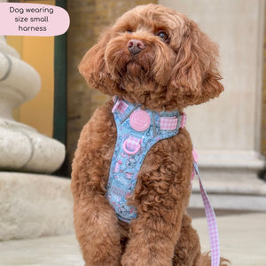 Disney© Tough Trails™ Harness - Mad Hatters Tea Party