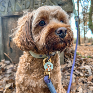 Disney© Collar/Lead Charm - Winnie + Friends