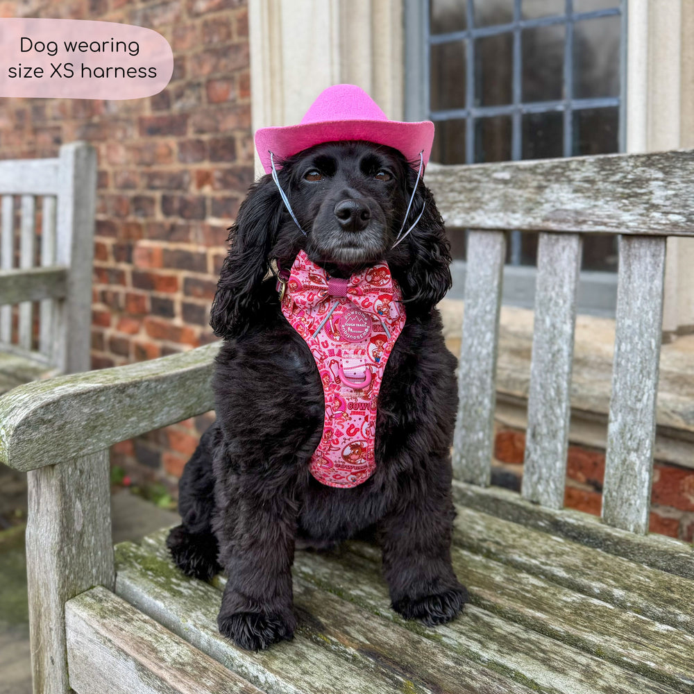 Disney© Tough Trails™ Harness - Jessie