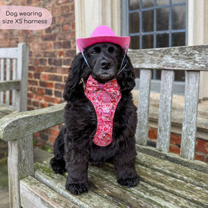 Disney© Tough Trails™ Harness - Jessie