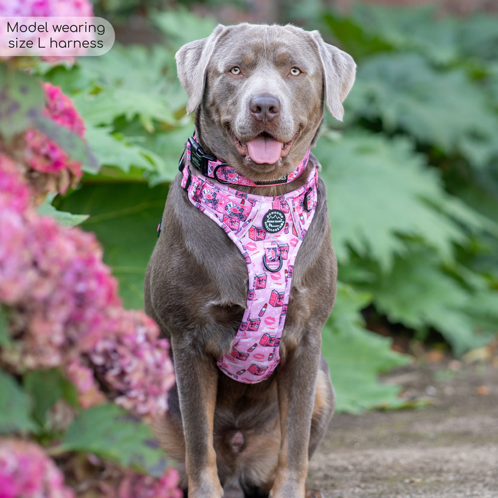 Tough Trails™ Harness - Mean Girls