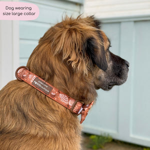 Collar - Cinnamon Spice