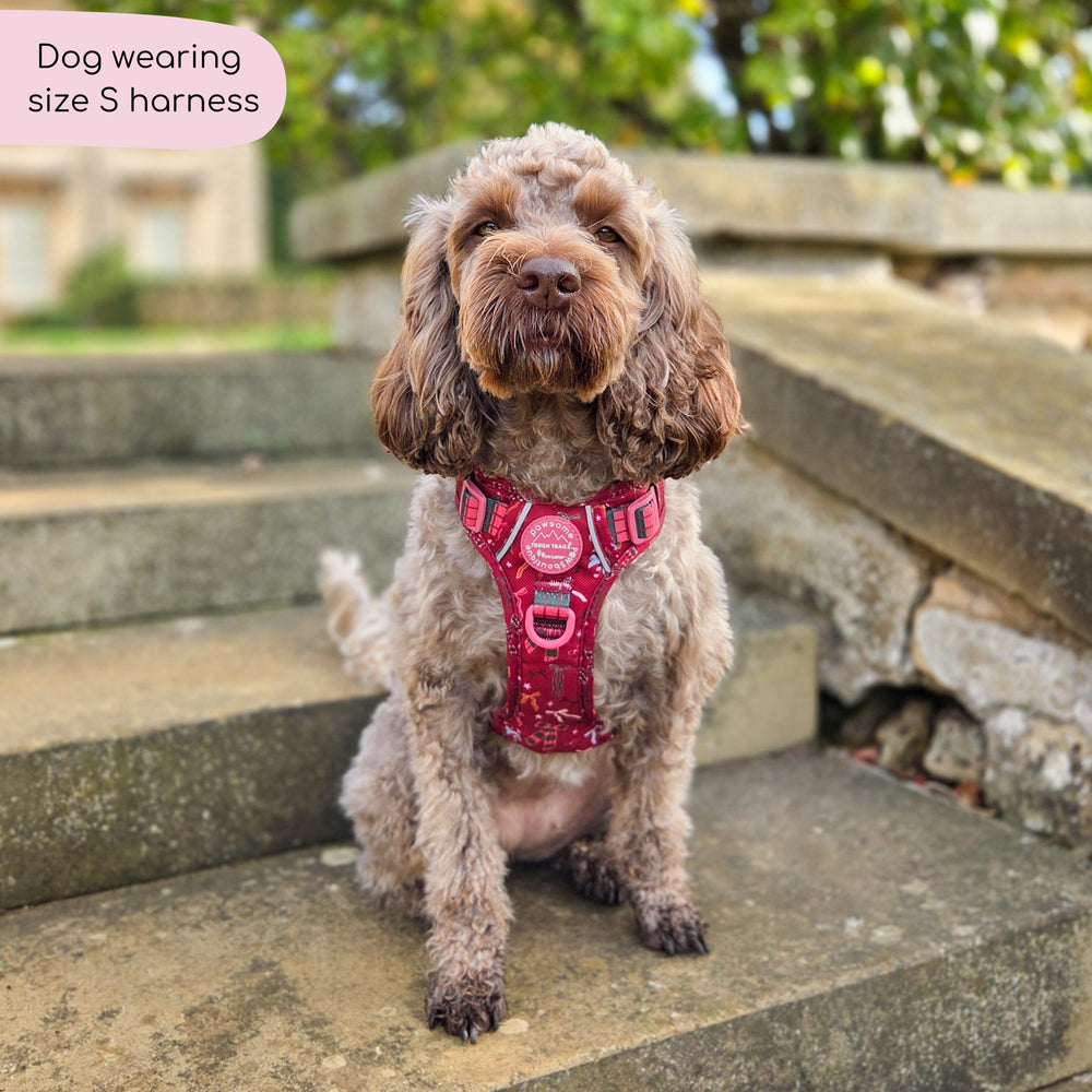 Tough Trails™ Harness - Bows Of Joy