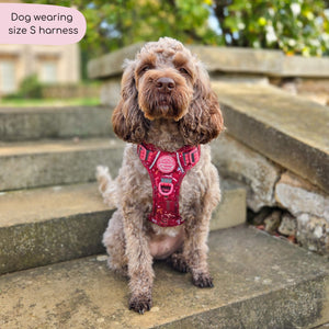 Tough Trails™ Harness - Bows Of Joy