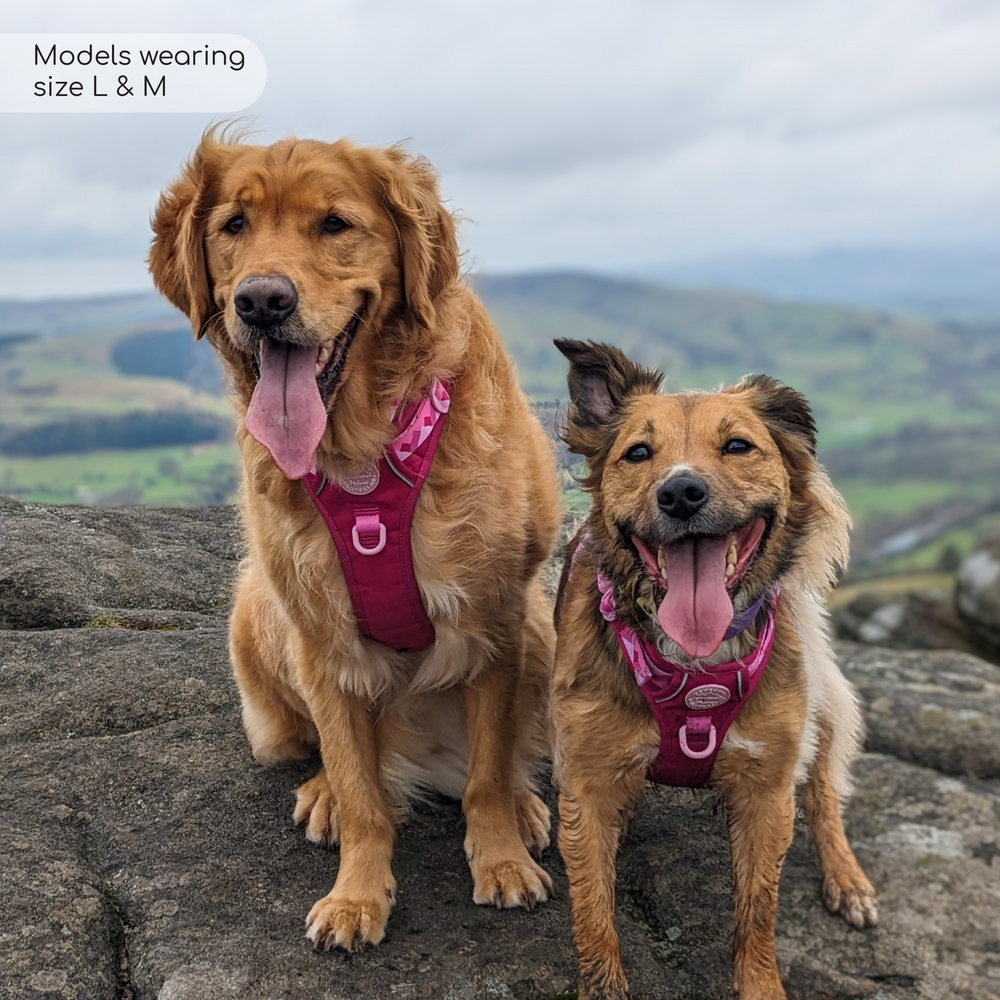Tough Trails™ Harness - Walkies Ready® Raspberry Pink