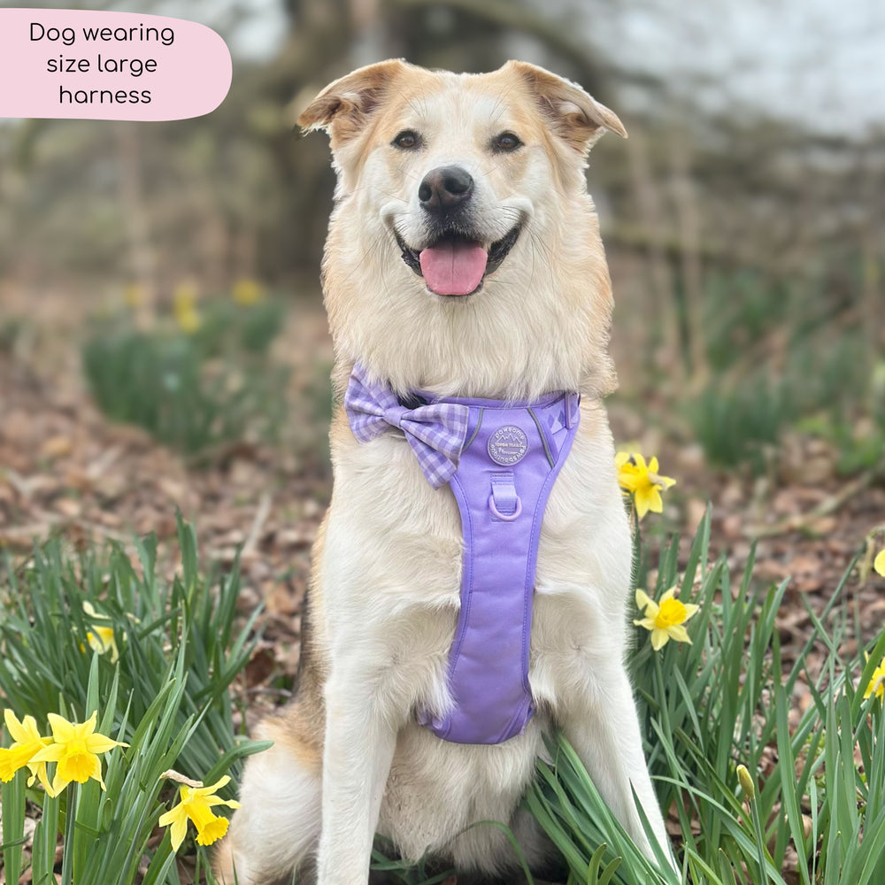 Tough Trails™ Harness - Walkies Ready® Lavender Lilac