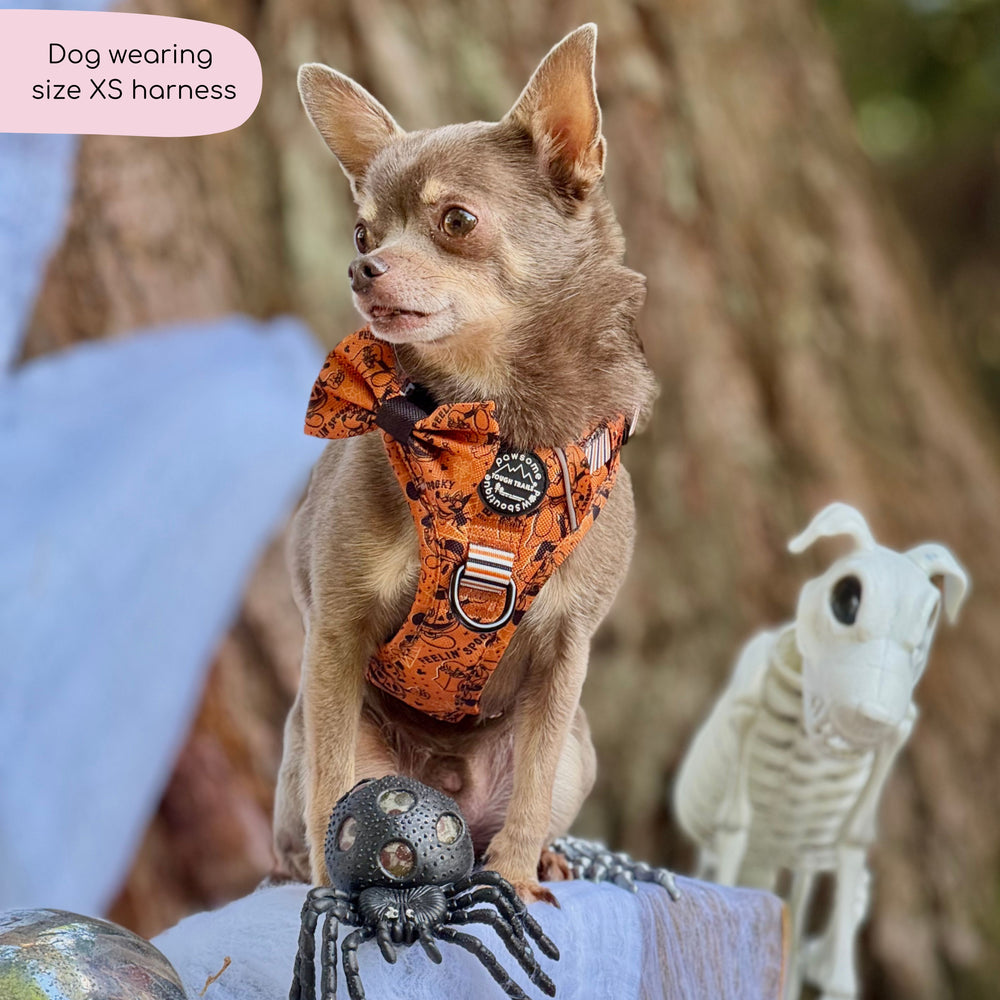 Disney© Tough Trails™ Harness - Halloween